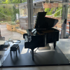 Customer image of LEGO®: Grand Piano (21323) Display Case