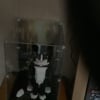 Customer image of LEGO® Tuxedo Cat (21349) Display Case