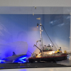 Customer image of LEGO® Jaws (21350) Display Case