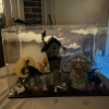 Customer image of LEGO® Disney Tim Burton's The Nightmare Before Christmas (21351) Display Case