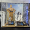Customer image of SPECIAL EDITION - LEGO® C-3PO™ (75398) & R2-D2™ (75379) Display Case